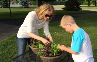 VIDEO: Why Grow Lettuce With Kids?