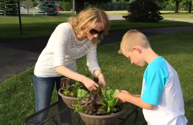 Childrens Lettuce Bowl