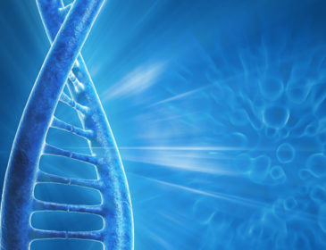 Autism Spectrum Disorder More Than Genes