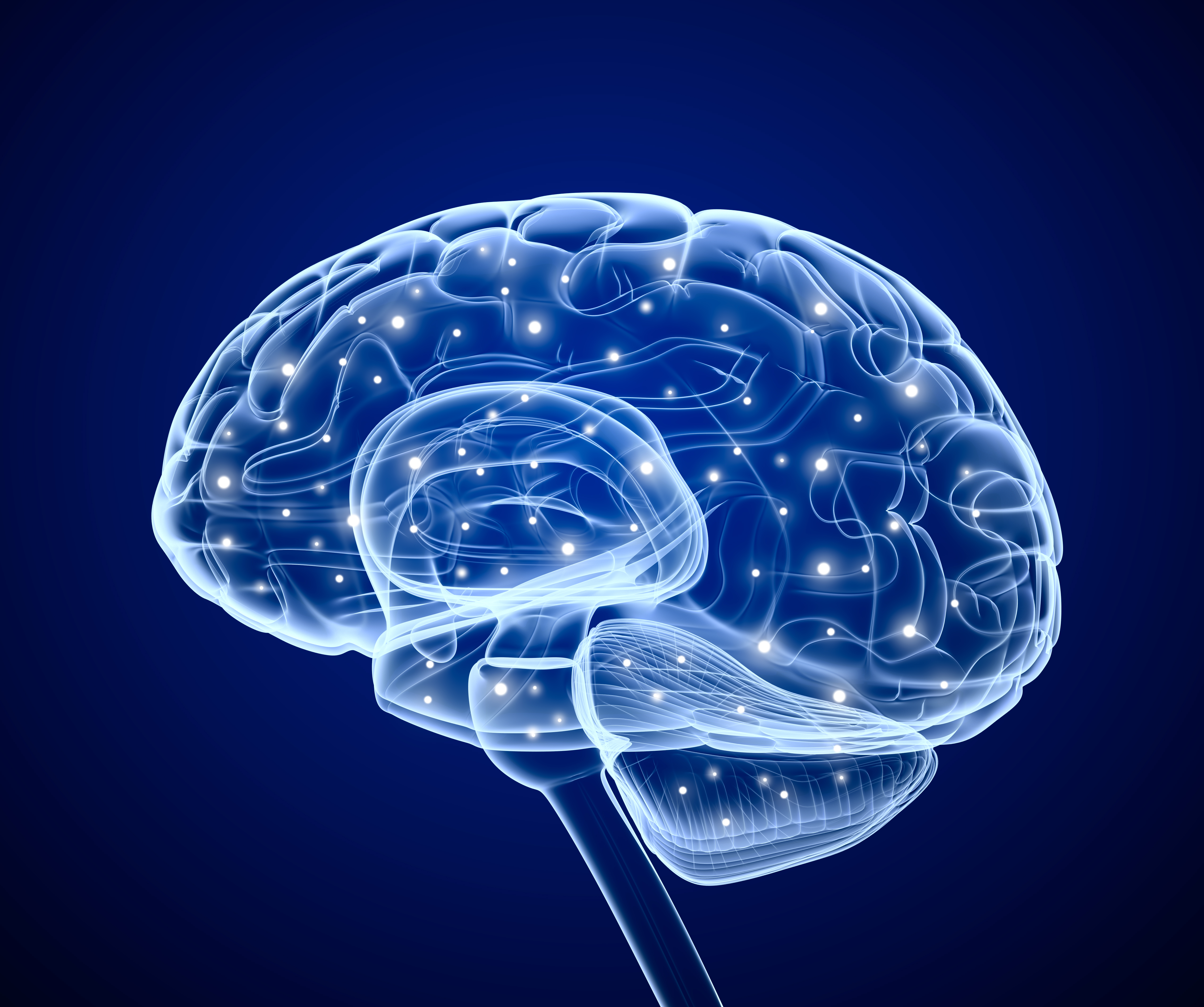 similar neurological differences in autism adhd ocd neurodevelopmental disorder