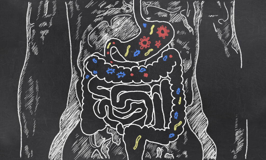 Treating the Gut is Vitally Important for Autism Spectrum Disorders
