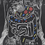 Treating the Gut is Vitally Important for Autism Spectrum Disorders