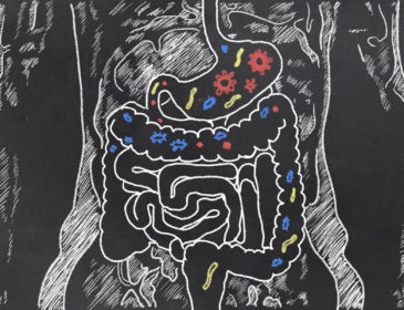 Treating the Gut is Vitally Important for Autism Spectrum Disorders