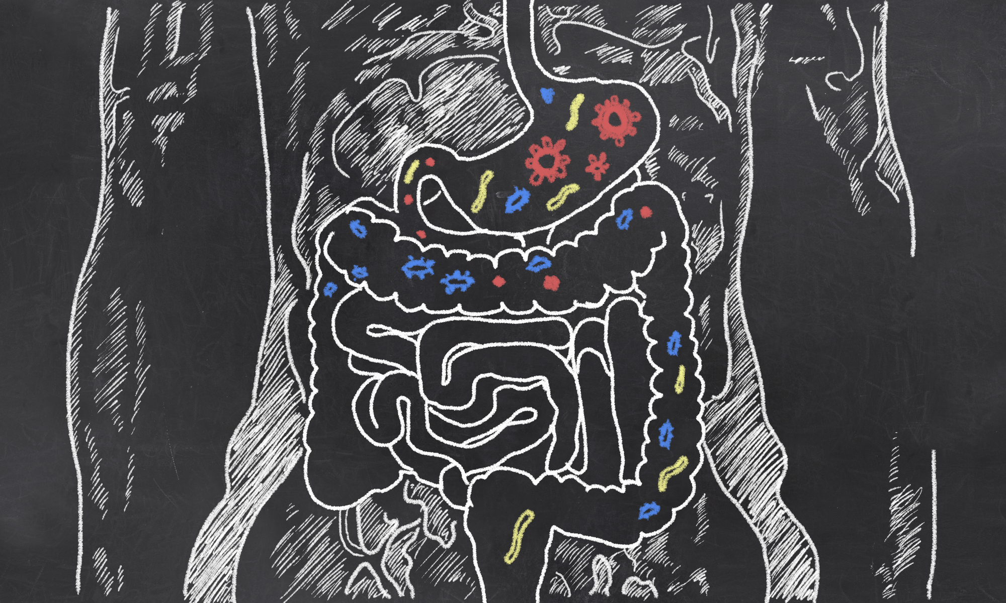 Treating the Gut is Vitally Important for Autism Spectrum Disorders