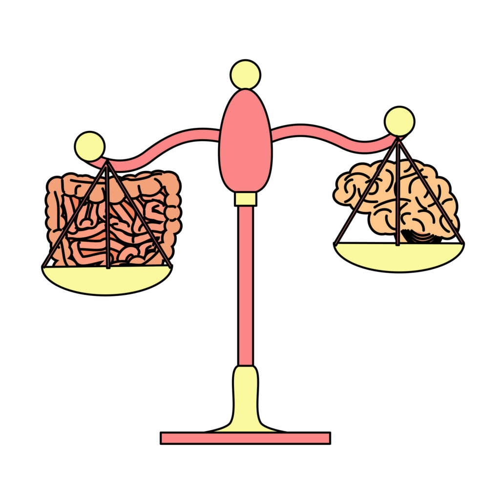 Gut microbiome affects behavior, sleep, energy and focus