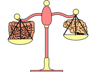 Gut microbiome affects behavior, sleep, energy and focus